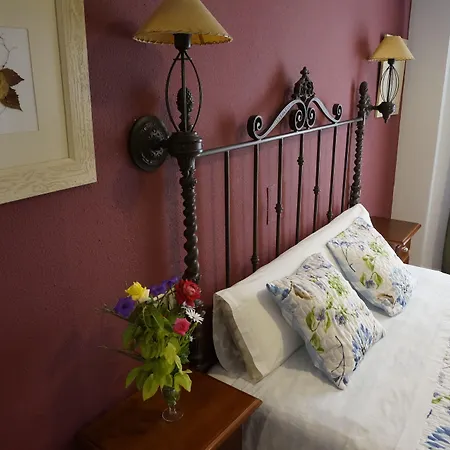 Casa de hóspedes La Torrellano